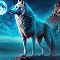 profil Einsamer Wolf