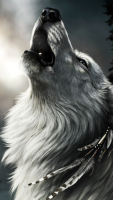 profil Grauerwolf61